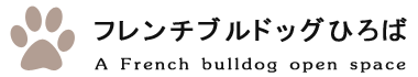 フレンチブルドッグひろば